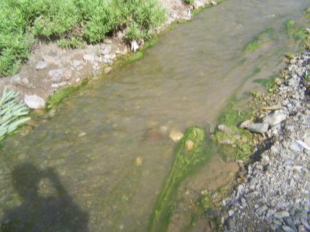 l'eau, c'est la vie.