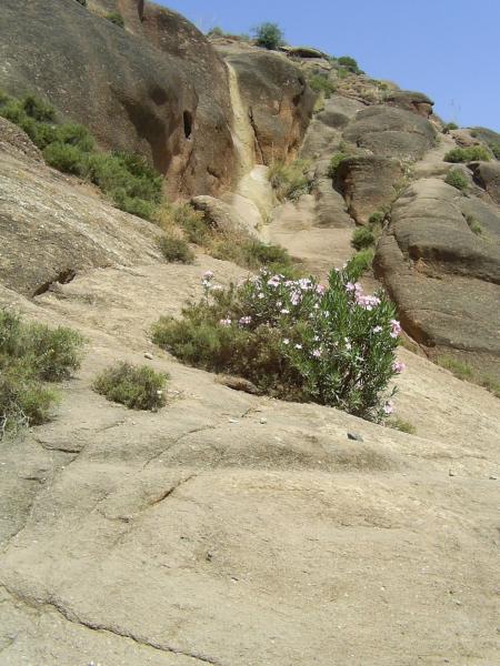 la nature en beaut�. 