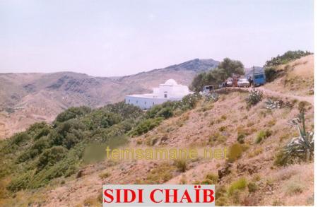 sidi chaib.