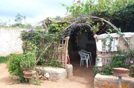 salon de th� version rif.